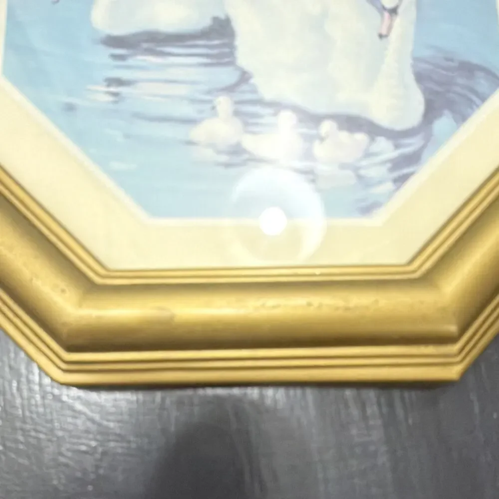 Vintage Gold Ornate Octagon Hanging Photo Frame 10” hexagon Swan Theme Landscape